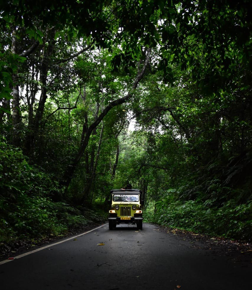 Gavi jeep safari photograph from Palliyadiyil Tourism