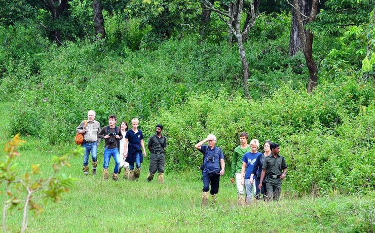 Nature Walk trekking programme in the Periyar region of Thekkady