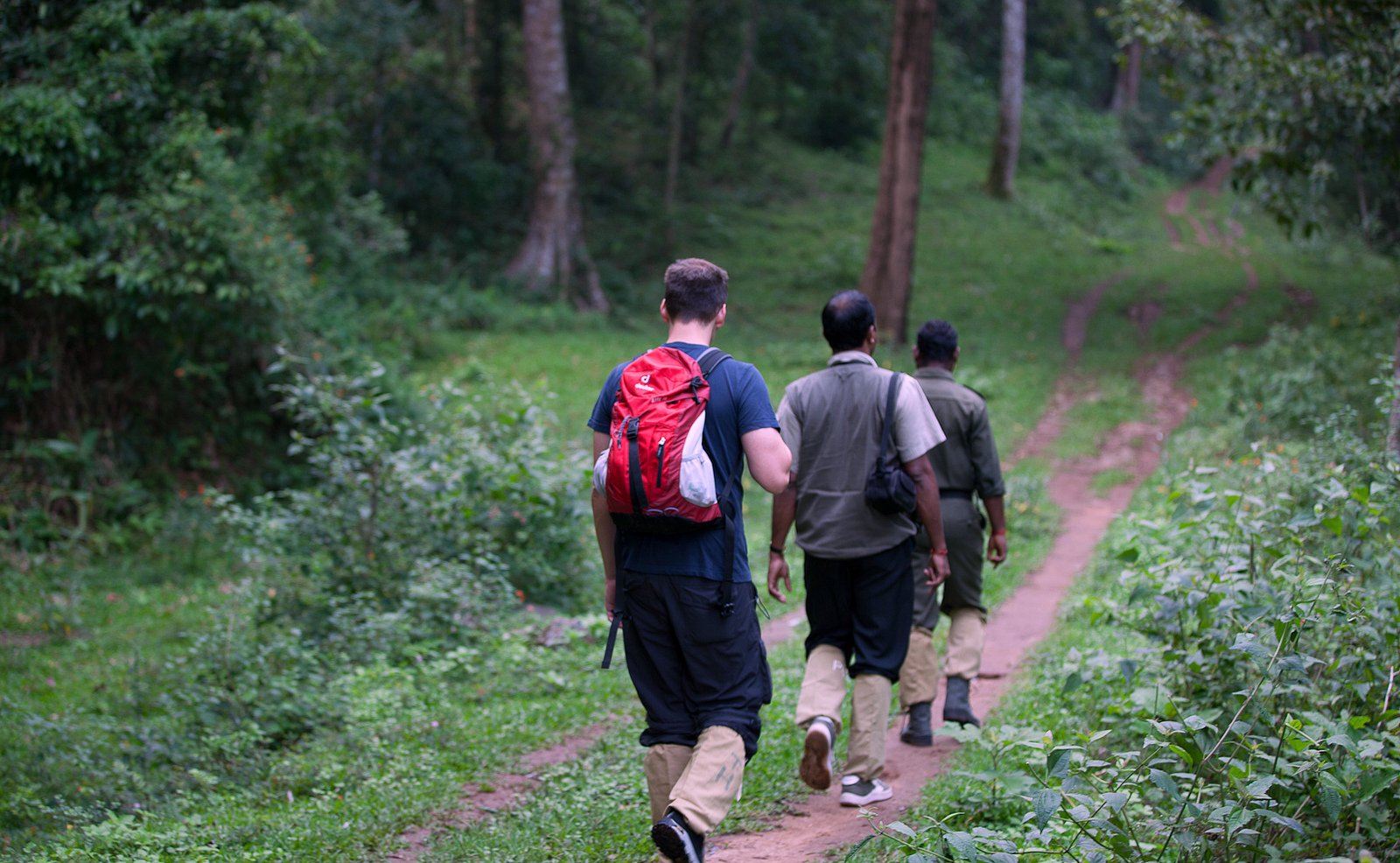 Green Walk trekking programme in the Periyar region of Thekkady