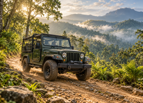 Trekking in Thekkady: Choose Between Day Walks, Night Treks and Camping