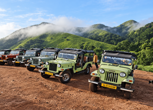 Thekkady Jeep Safari for Families: Planning a Comfortable Outdoor Trip