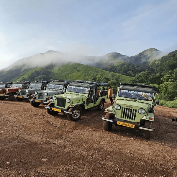 Jeep safari photograph from Palliyadiyil Tourism
