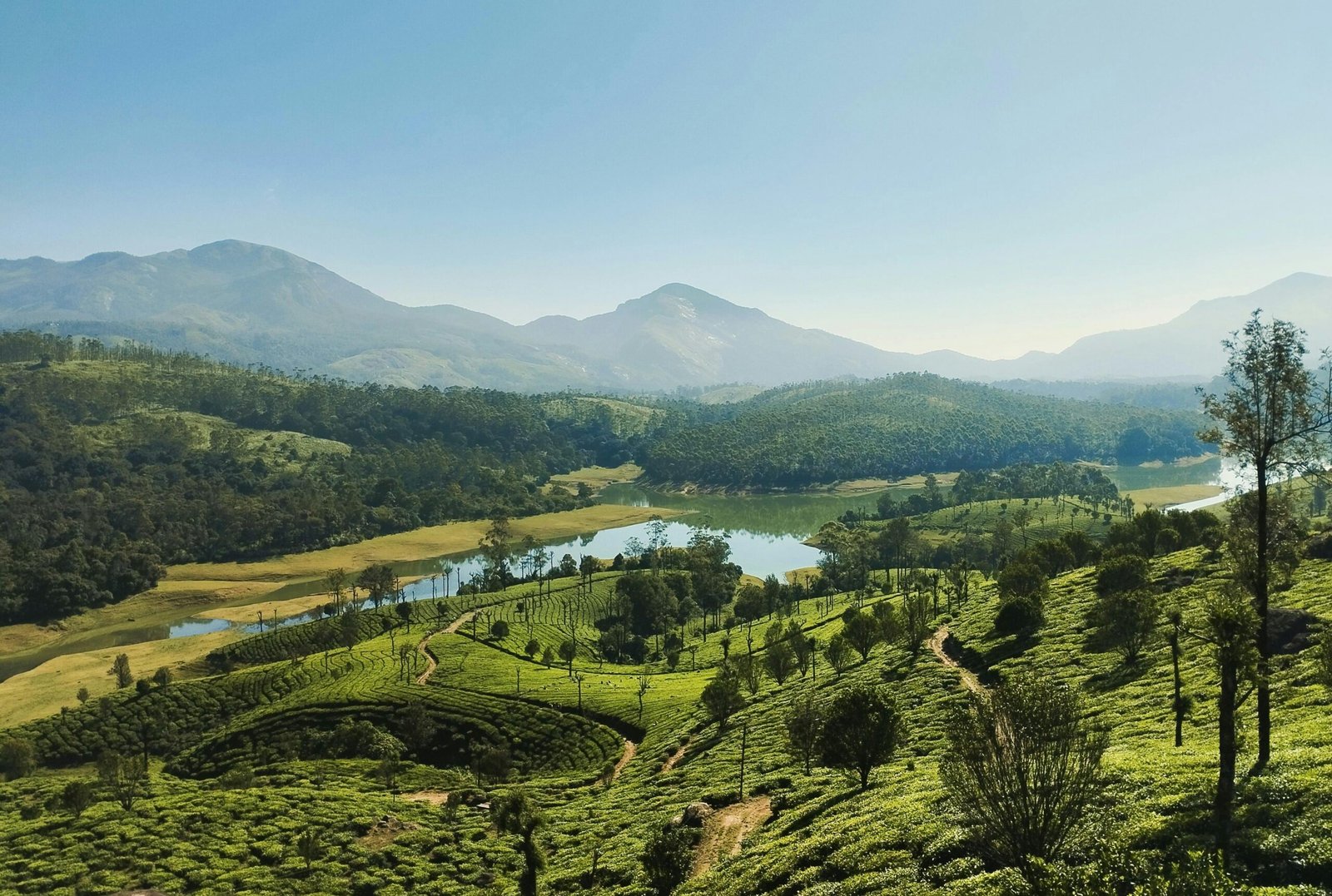 Placeholder for Munnar package photo 1